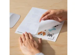 Cricut Adesivi Impermeabili e Stampabili formato A4 Trasparente Olografico 5 fogli