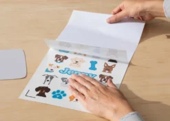 Cricut Adesivi Impermeabili e Stampabili formato A4 Trasparente Olografico 5 fogli