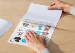 Cricut Adesivi Impermeabili e Stampabili formato A4 Trasparente Olografico 5 fogli