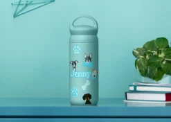 Cricut Adesivi Impermeabili e Stampabili formato A4 Trasparente Olografico 5 fogli