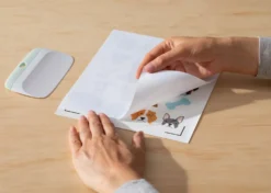 Cricut Adesivi Impermeabili e Stampabili formato A4 Bianco Olografico 5 fogli