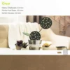Cricut Cartone Pressato 2mm