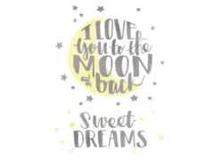 Cricut Iron On Design “Love You To The Moon”
