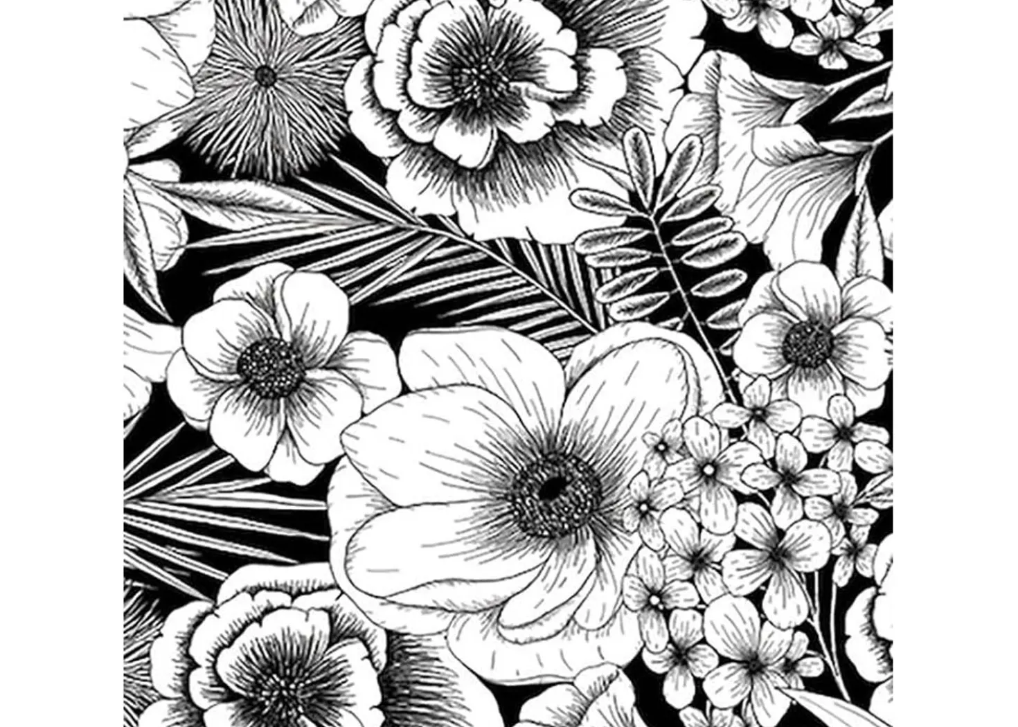 Cricut Joy Carta Adesiva Botanica