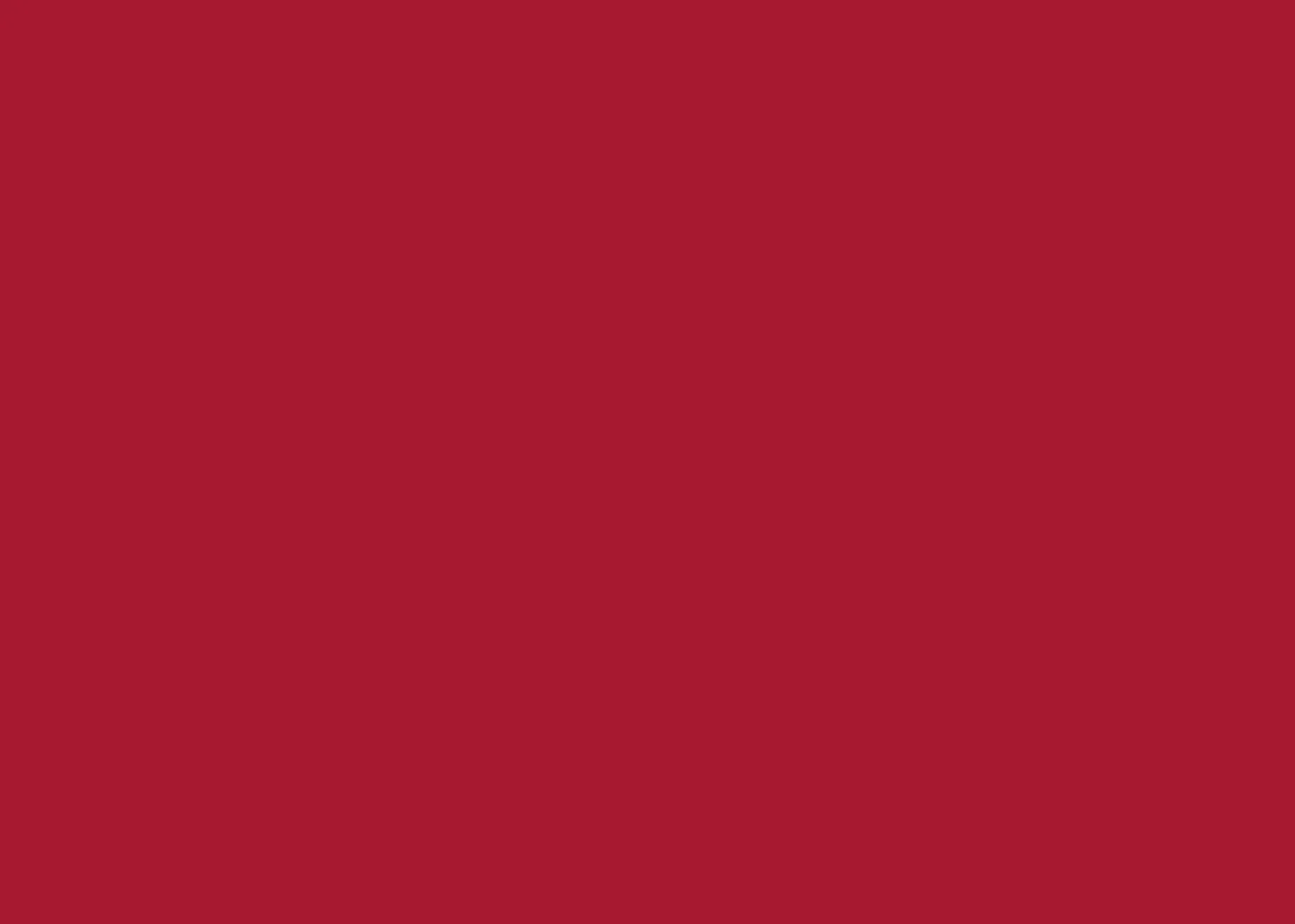 Cricut Smart Vinyl Vinile Permanente Rosso 33cmx3,66m