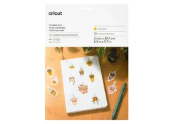 Cricut Vinile Stampabile Oro A4 10 fogli