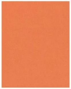 Frou Frou Patch 45X55cm Unito