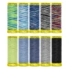Gutermann Kit Deco Stitch 70 10 Bobine Colore 2