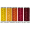 Gutermann Kit Filati per Ricamo Rayon 40 7 Bobine Colore 2 200mt