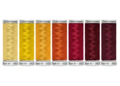 Gutermann Kit Filati per Ricamo Rayon 40 7 Bobine Colore 2 200mt