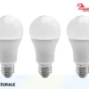 Magnadyne Lampadina LED A60 NAT Set 3 Pezzi