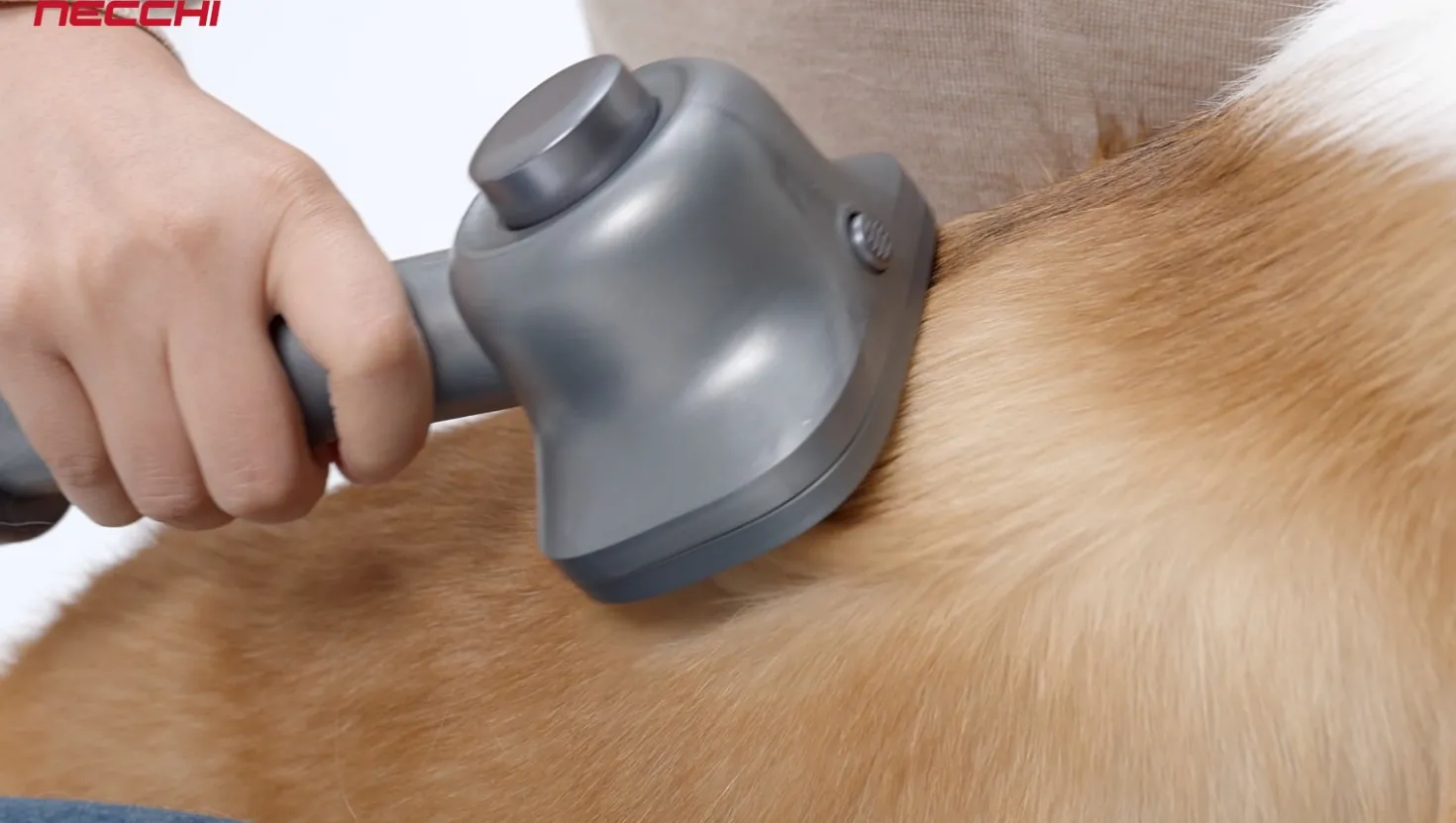 Necchi Accessorio Spazzola per animali linea Autopower